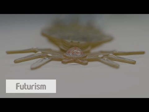 Agile Soft Robot Spiders Could Soon Aid Internal Medical Procedures